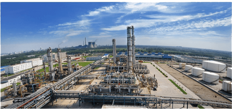 俏丽mansion88·明升官方网站