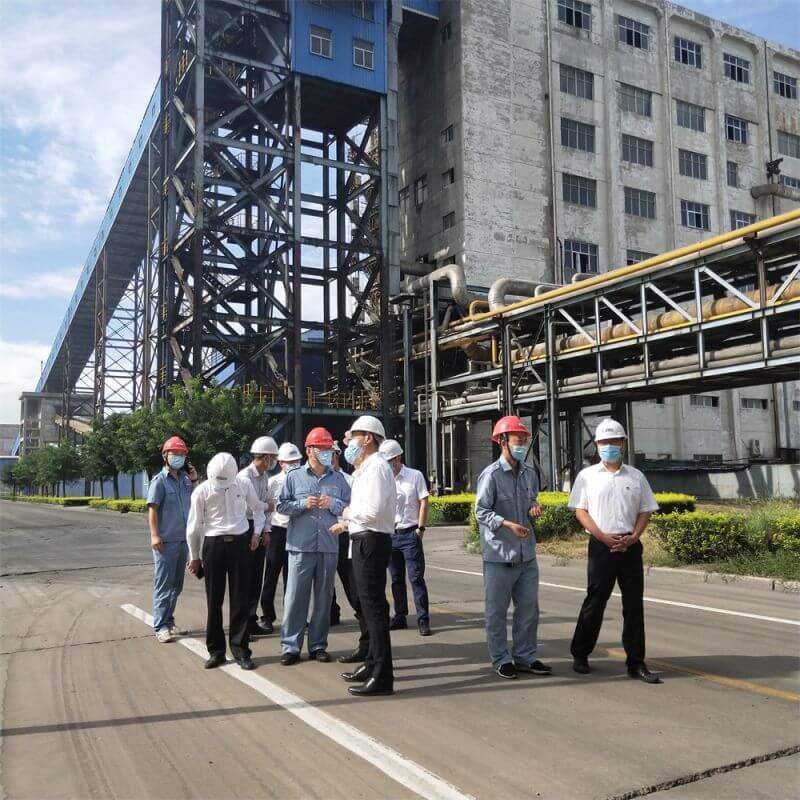 成长在mansion88·明升官方网站