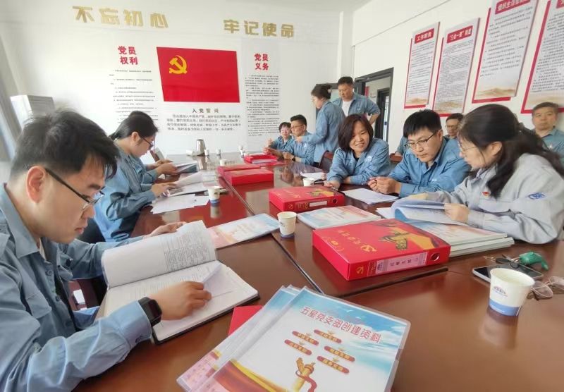 园区发展“五星”党支部评定工作